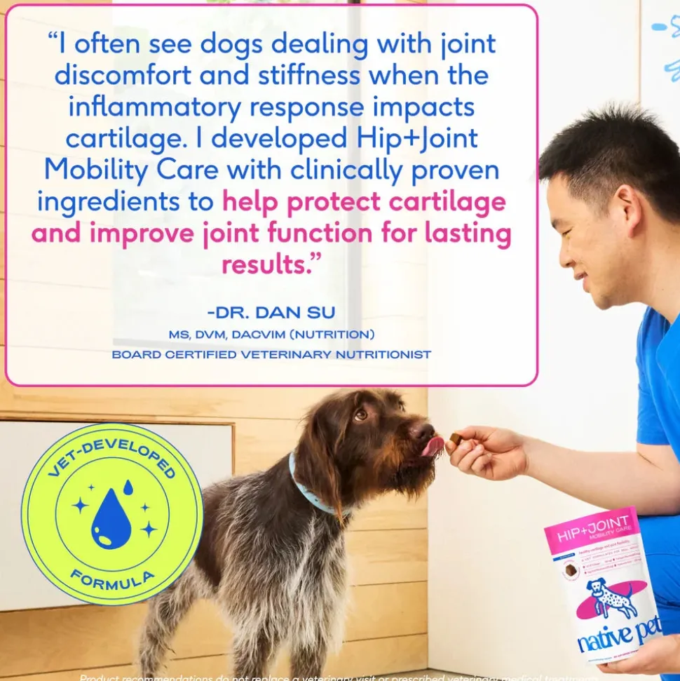 Native Pet Hip & Joint Mobility Care Chews for Dogs 60 Count