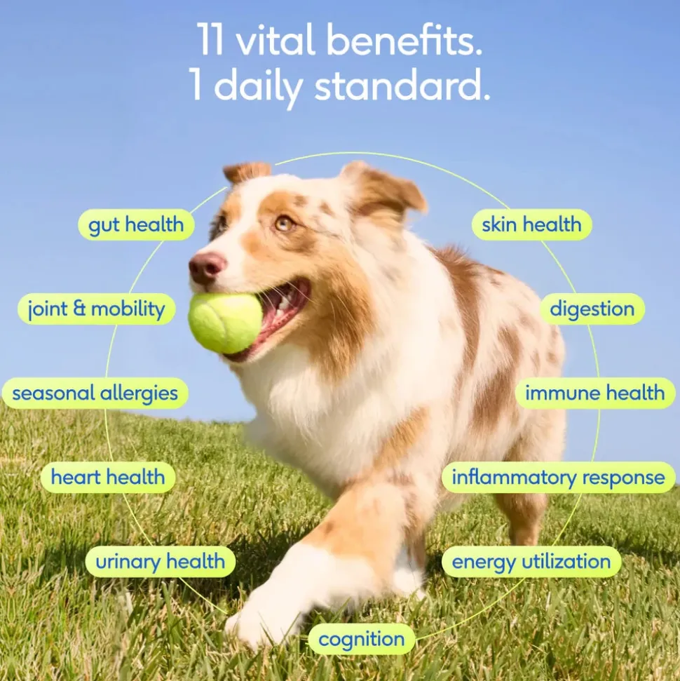 Native Pet The Daily Powder 11-in-1 Supplement for Dogs 7-oz