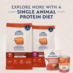 Natural Balance Pet Foods Limited Ingredient Adult Dry Dog Food Salmon & Sweet Potato 12-lb