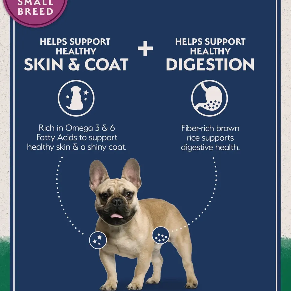 Natural Balance Pet Foods Limited Ingredient Small Breed Dry Dog Food Lamb & Brown Rice 4-lb
