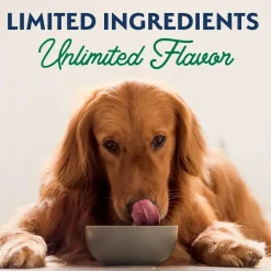 Natural Balance Pet Foods Limited Ingredient Canned Dog Food Lamb & Brown Rice 13-oz