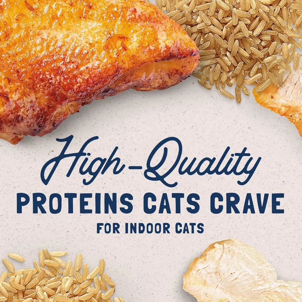 Natural Balance Pet Foods Original Ultra Indoor Canned Cat Food Chicken Formula 5.5-oz