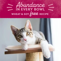 Natural Balance Pet Foods Original Ultra Broth Coated Adult Dry Cat Food Chicken Meal & Salmon Meal 15-lb