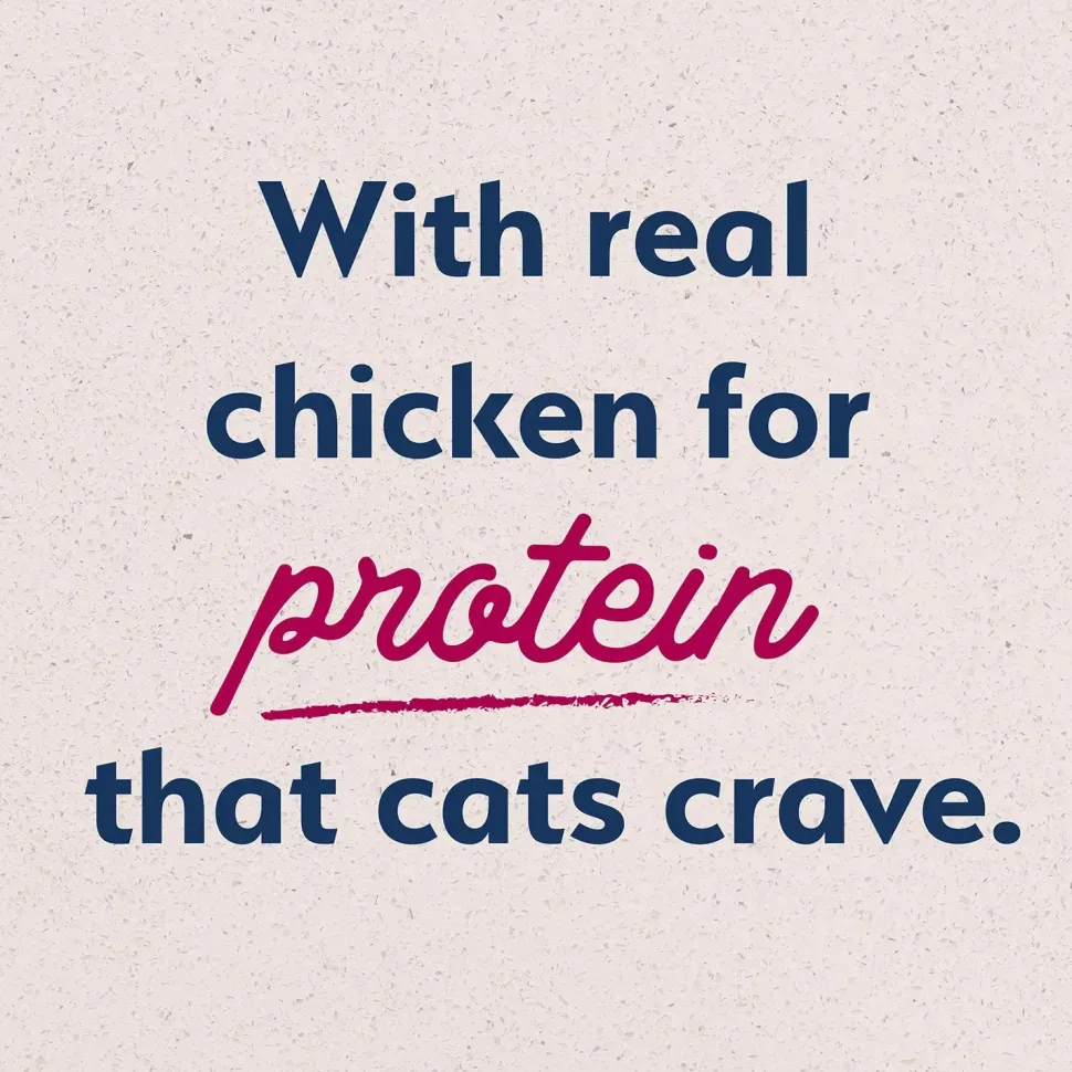Natural Balance Pet Foods Original Ultra Broth Coated Adult Dry Cat Food Chicken Meal & Salmon Meal 15-lb