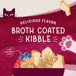 Natural Balance Pet Foods Original Ultra Broth Coated Dry Cat Food Chicken & Salmon 6-lb
