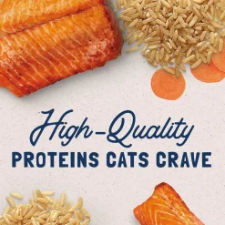 Natural Balance Pet Foods Original Ultra Canned Cat Food Salmon 5.5-oz