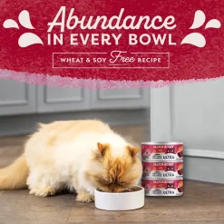 Natural Balance Pet Foods Original Ultra Canned Cat Food Salmon 5.5-oz