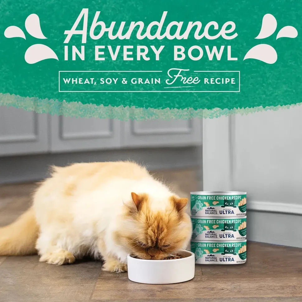 Natural Balance Pet Foods Original Ultra Grain Free Canned Cat Food Chicken 5.5-oz