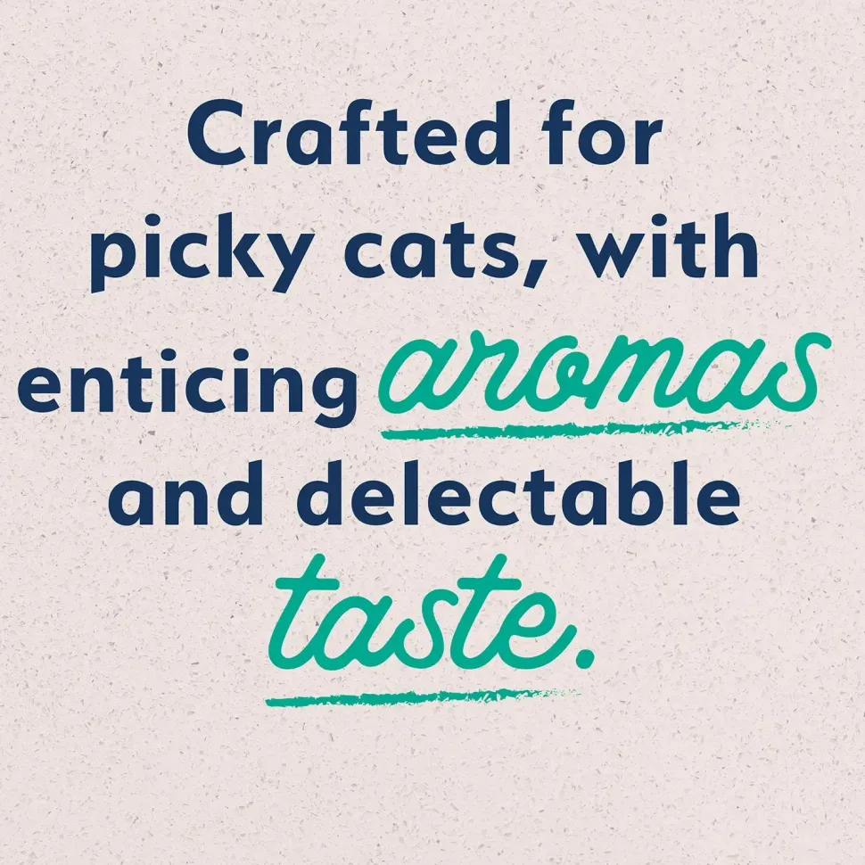 Natural Balance Pet Foods Original Ultra Grain Free Canned Cat Food Chicken 5.5-oz