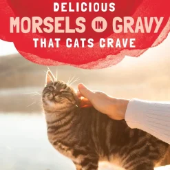Natural Balance Pet Foods Original Ultra Platefulls Morsels in Gravy Wet Cat Food Salmon Tuna & Crab 3-oz