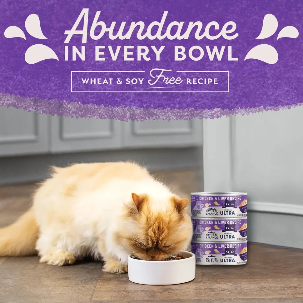 Natural Balance Pet Foods Original Ultra Canned Cat Food Chicken & Liver 5.5-oz