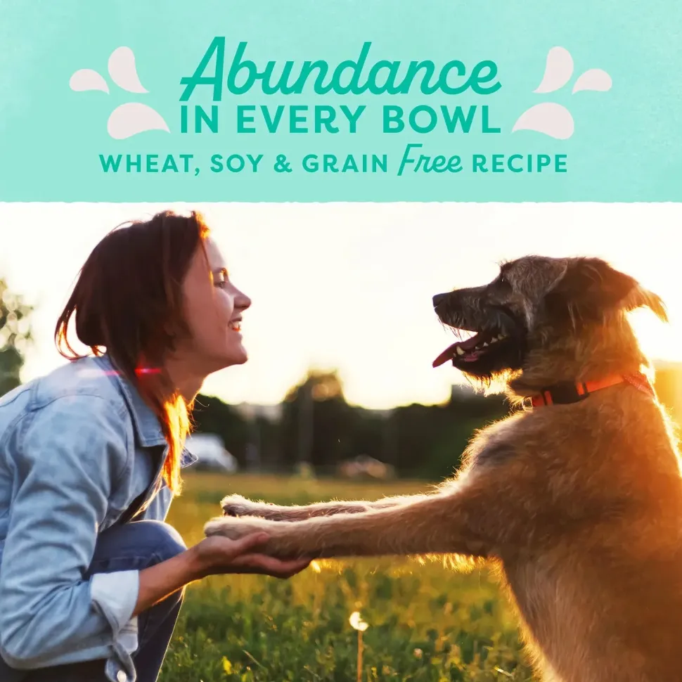 Natural Balance Pet Foods Original Ultra Broth Coated Dry Dog Food Chicken & Sweet Potato 24-lb