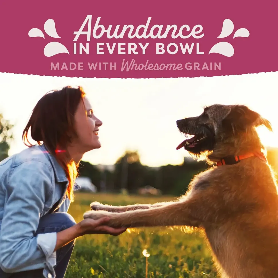 Natural Balance Pet Foods Original Ultra Fat Dogs Dry Food Chicken Meal Salmon Meal & Barley 4-lb
