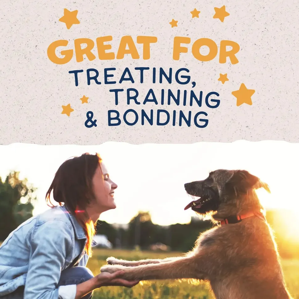 Natural Balance Pet Foods Rewards Jumpin' Stix Soft & Meaty Dog Treats Duck 4-oz
