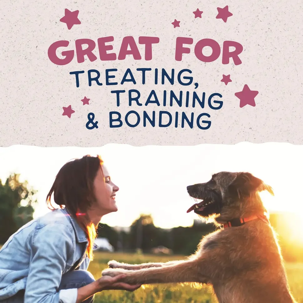 Natural Balance Pet Foods Rewards Jumpin' Stix Soft & Meaty Dog Treats Venison 4-oz