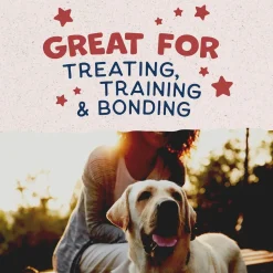Natural Balance Pet Foods Rewards Crunchy Biscuits Dog Treats Bison 14-oz