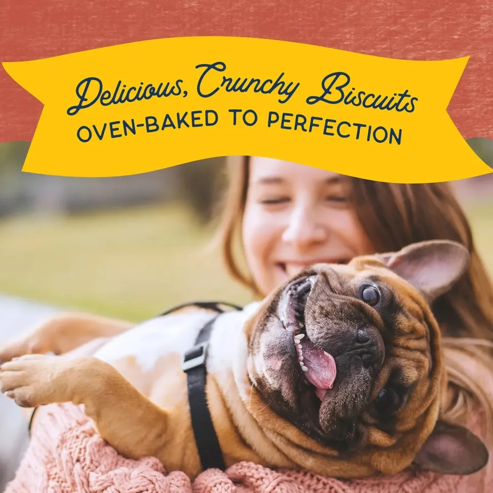 Natural Balance Pet Foods Rewards Crunchy Biscuits Dog Treats Salmon 14-oz