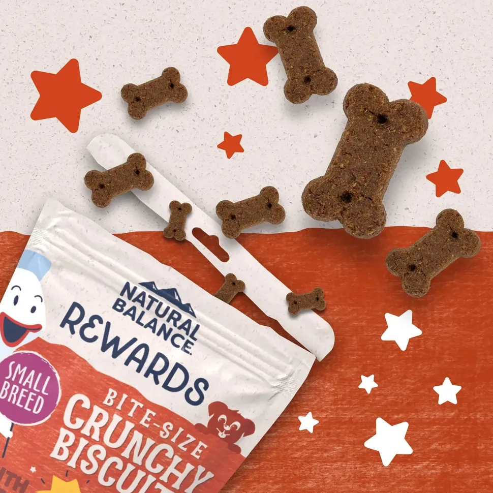 Natural Balance Pet Foods Rewards Bite-Size Crunchy Biscuits Small Breed Dog Treats Salmon 8-oz
