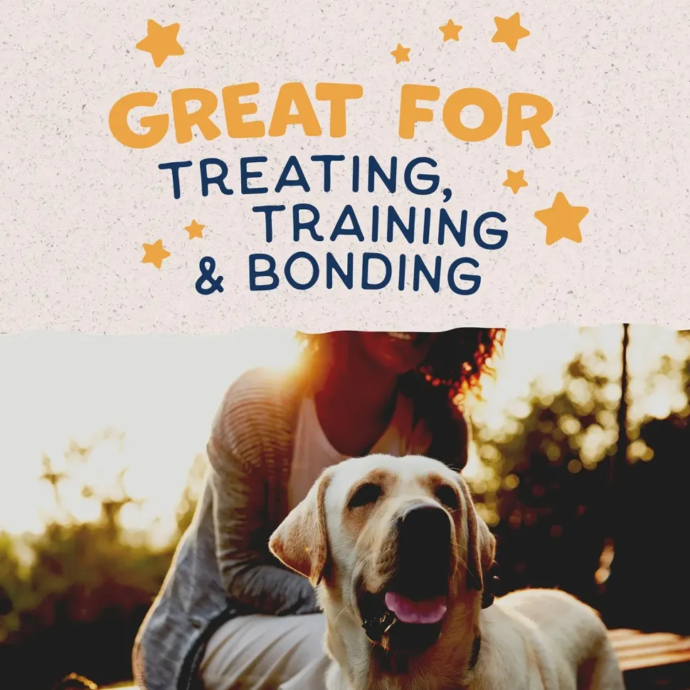 Natural Balance Pet Foods Rewards Crunchy Biscuits Dog Treats Duck 14-oz