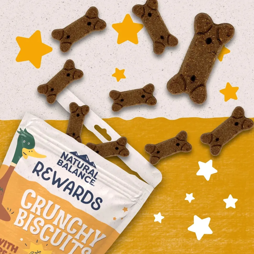 Natural Balance Pet Foods Rewards Crunchy Biscuits Dog Treats Duck 14-oz