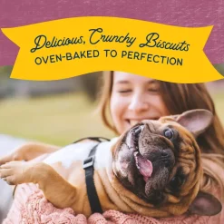 Natural Balance Pet Foods Rewards Crunchy Biscuits Dog Treats Venison 14-oz