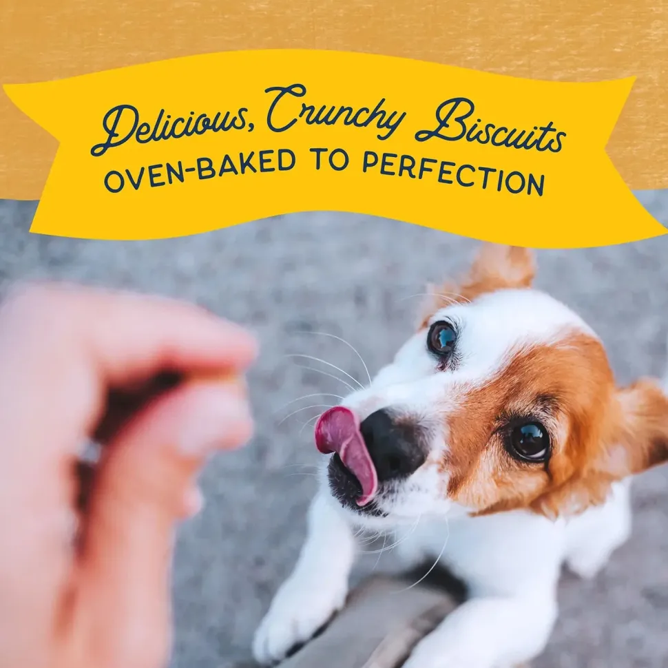 Natural Balance Pet Foods Rewards Bite-Size Crunchy Biscuits Small Breed Dog Treats Duck 8-oz