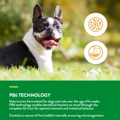 NaturVet Advanced Probiotic & Enzymes Powder for Dogs & Cats 4-oz