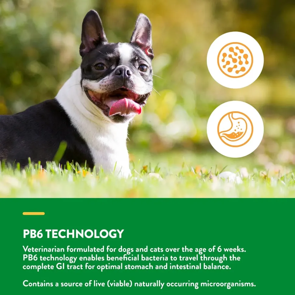 NaturVet Advanced Probiotic & Enzymes Powder for Dogs & Cats 4-oz