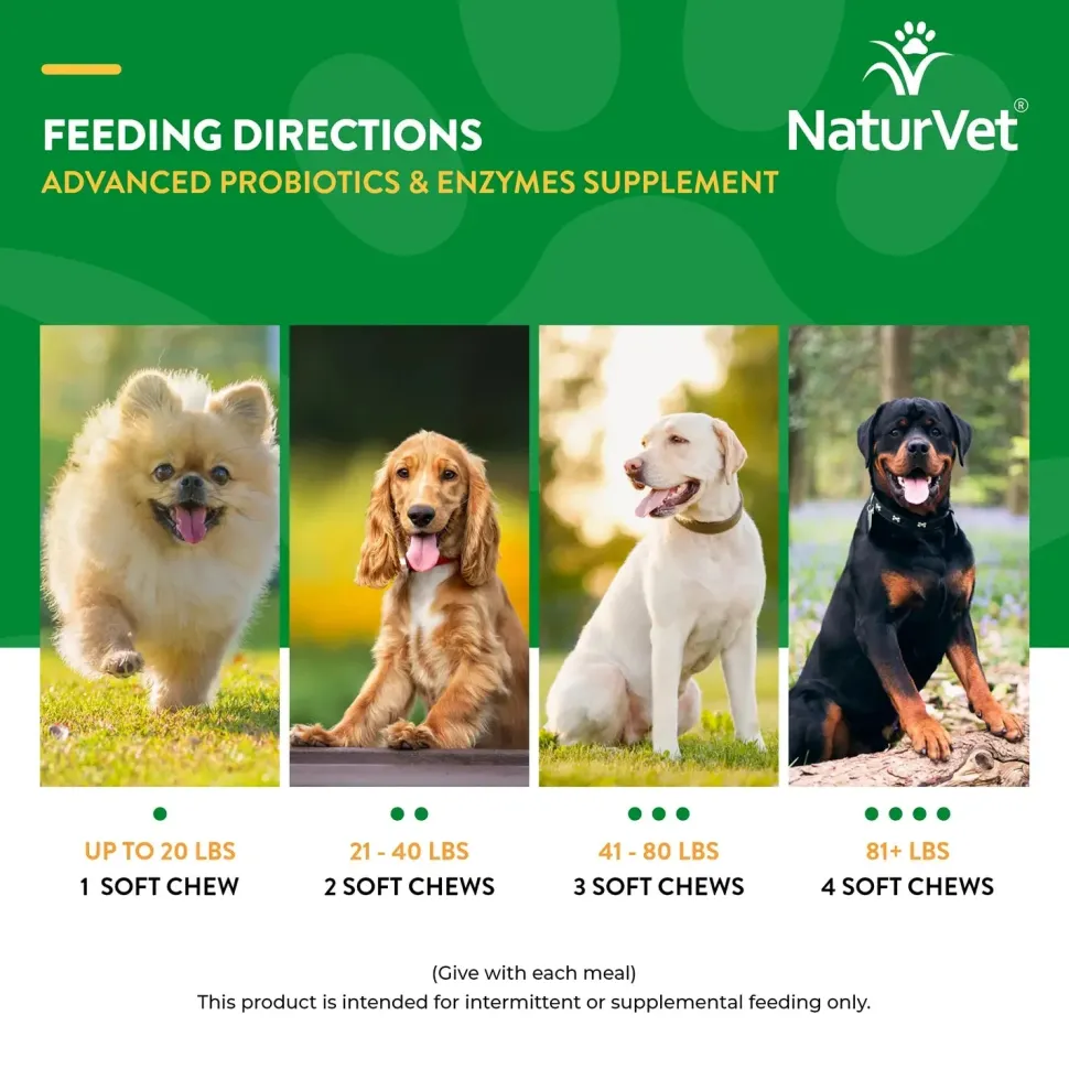 NaturVet Advanced Probiotics & Enzymes Dog Soft Chews 70 Count 5.9-oz