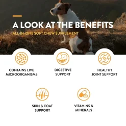 NaturVet All-in-One Soft Chews for Dogs 120 Count 16.9-oz