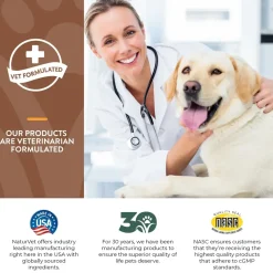 NaturVet All-in-One Soft Chews for Dogs 60 Count 8.4-oz