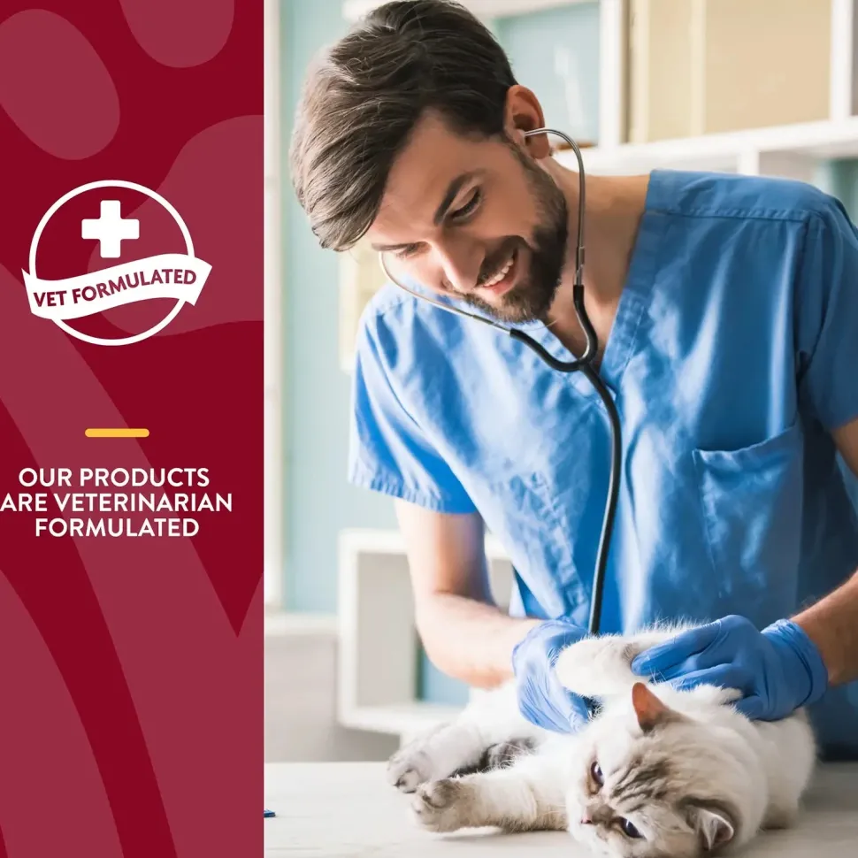 NaturVet Cranberry Relief Plus Echinacea Soft Chews for Cats 60 Count 3.1-oz