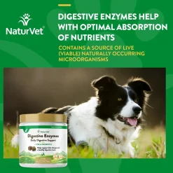 NaturVet Digestive Enzymes Plus Pre and Probiotic Soft Chews for Dogs 120 Count 10-oz