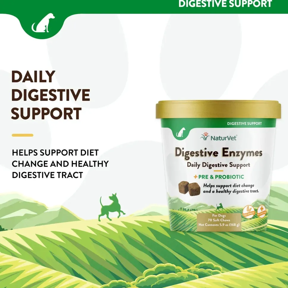 NaturVet Digestive Enzymes Plus Pre and Probiotic Soft Chews for Dogs 70 Count 5.9-oz