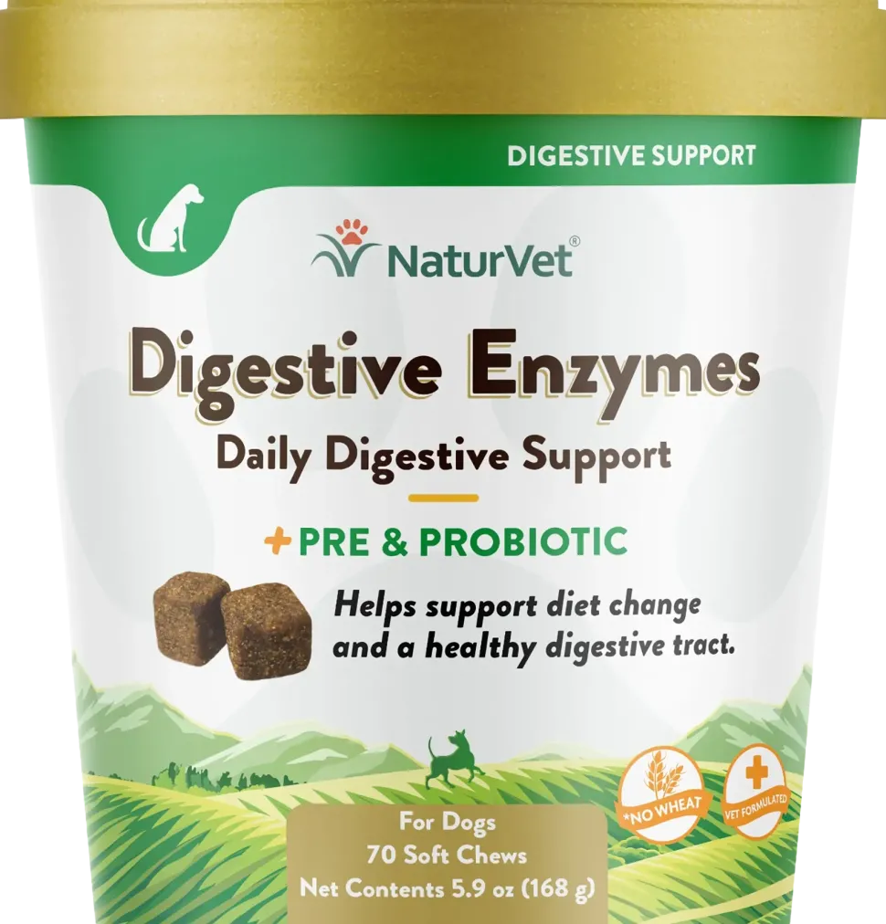 NaturVet Digestive Enzymes Plus Pre and Probiotic Soft Chews for Dogs 70 Count 5.9-oz