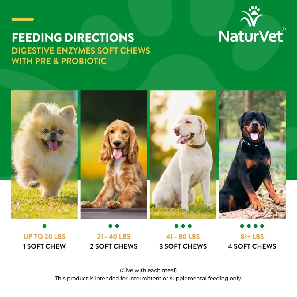 NaturVet Digestive Enzymes Plus Pre and Probiotic Soft Chews for Dogs 70 Count 5.9-oz
