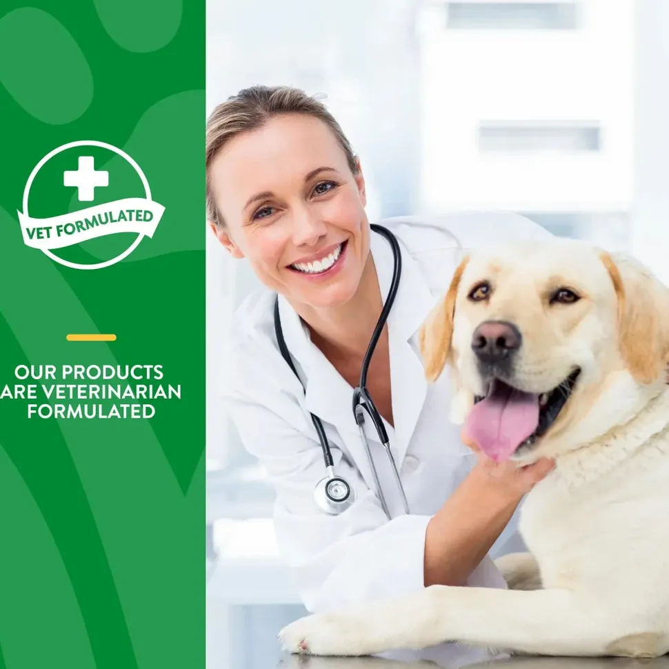 NaturVet Digestive Enzymes Plus Pre and Probiotic Soft Chews for Dogs 70 Count 5.9-oz
