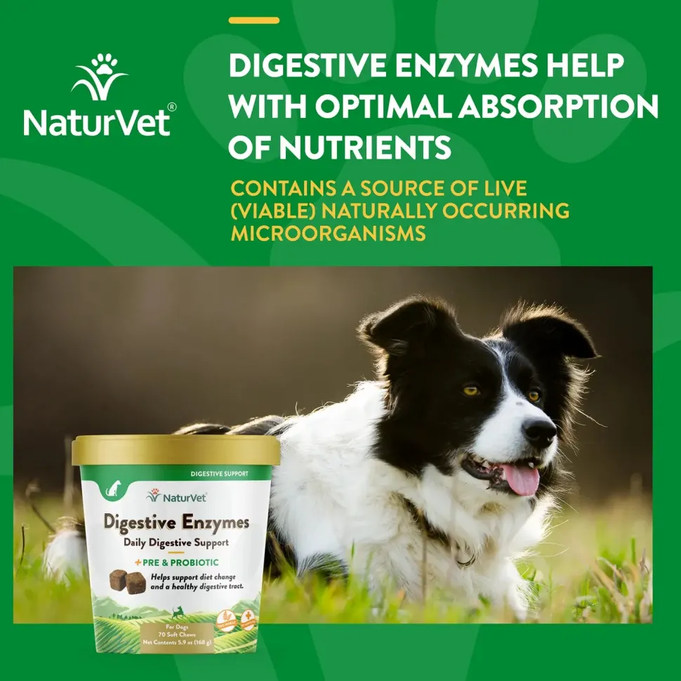 NaturVet Digestive Enzymes Plus Pre and Probiotic Soft Chews for Dogs 70 Count 5.9-oz