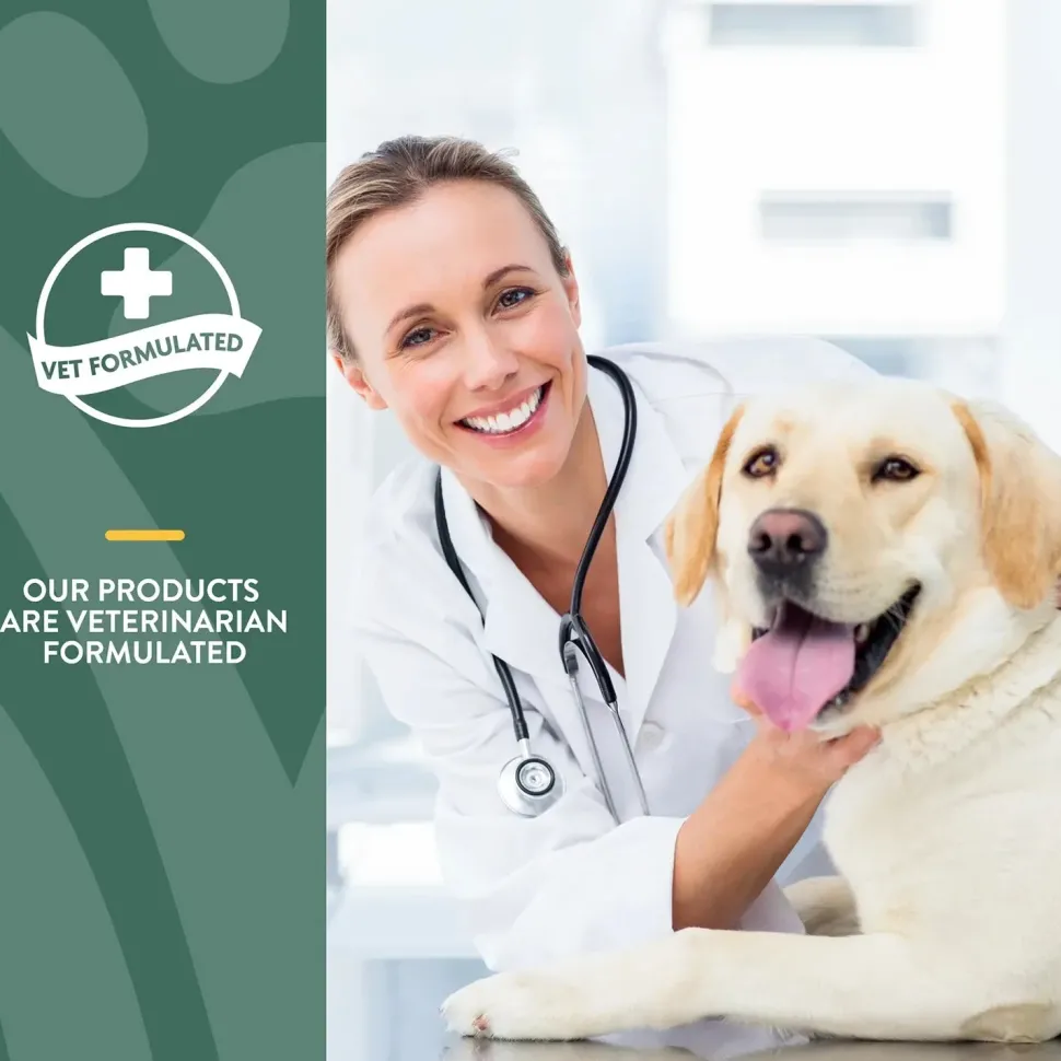 NaturVet Hemp Aches & Discomfort Plus Hemp Seed Soft Chews for Dogs 60 Count 6.3-oz