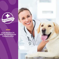 NaturVet Mushroom Max Advanced Immune Support Soft Chews for Dogs & Cats 60 Count 8.4-oz