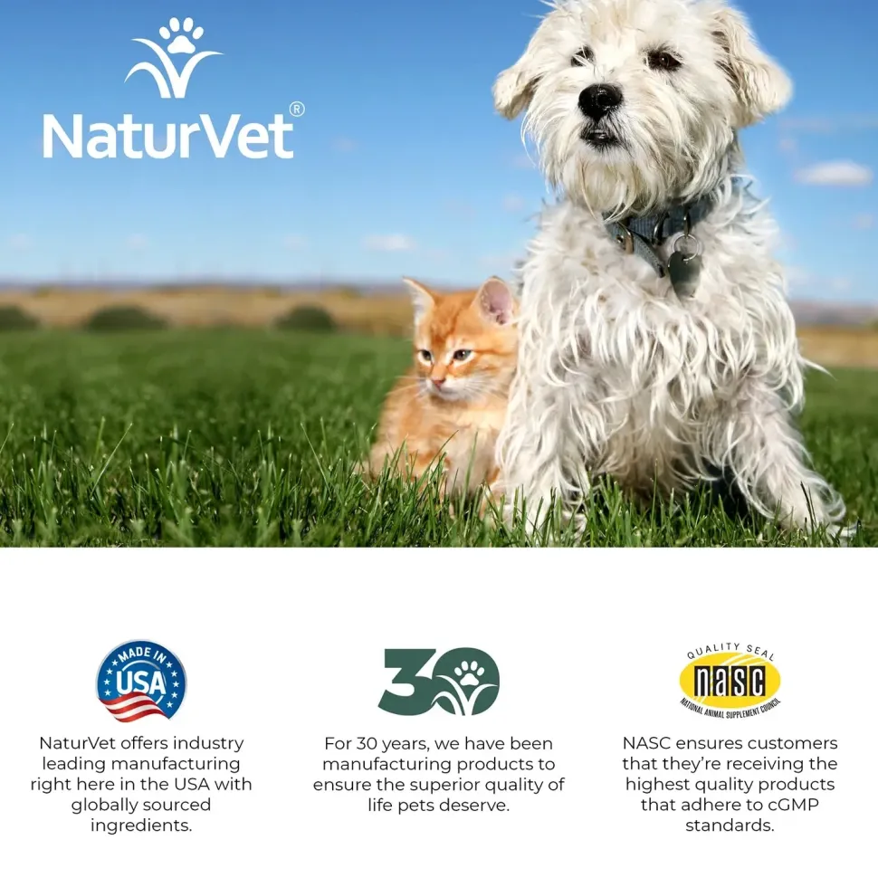 NaturVet Mushroom Max Advanced Immune Support Soft Chews for Dogs & Cats 60 Count 8.4-oz