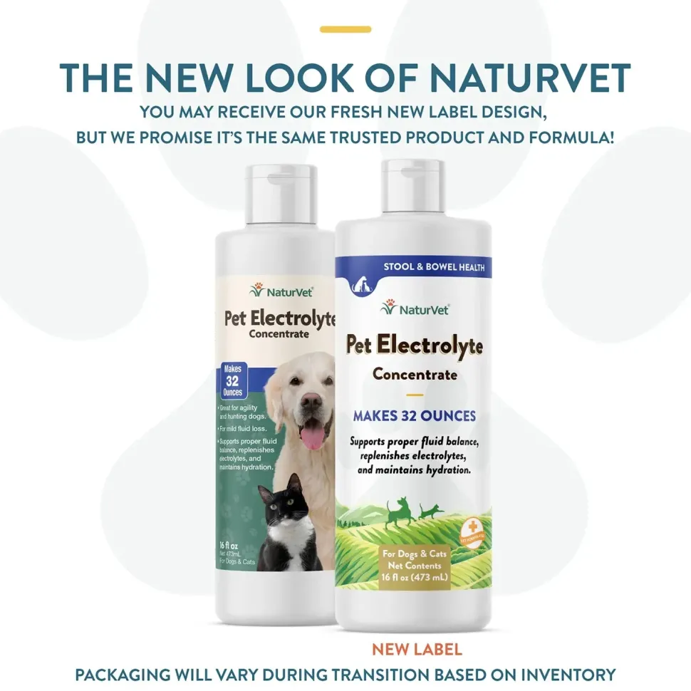 NaturVet Pet Electrolyte Concentrate for Dogs & Cats 16-oz