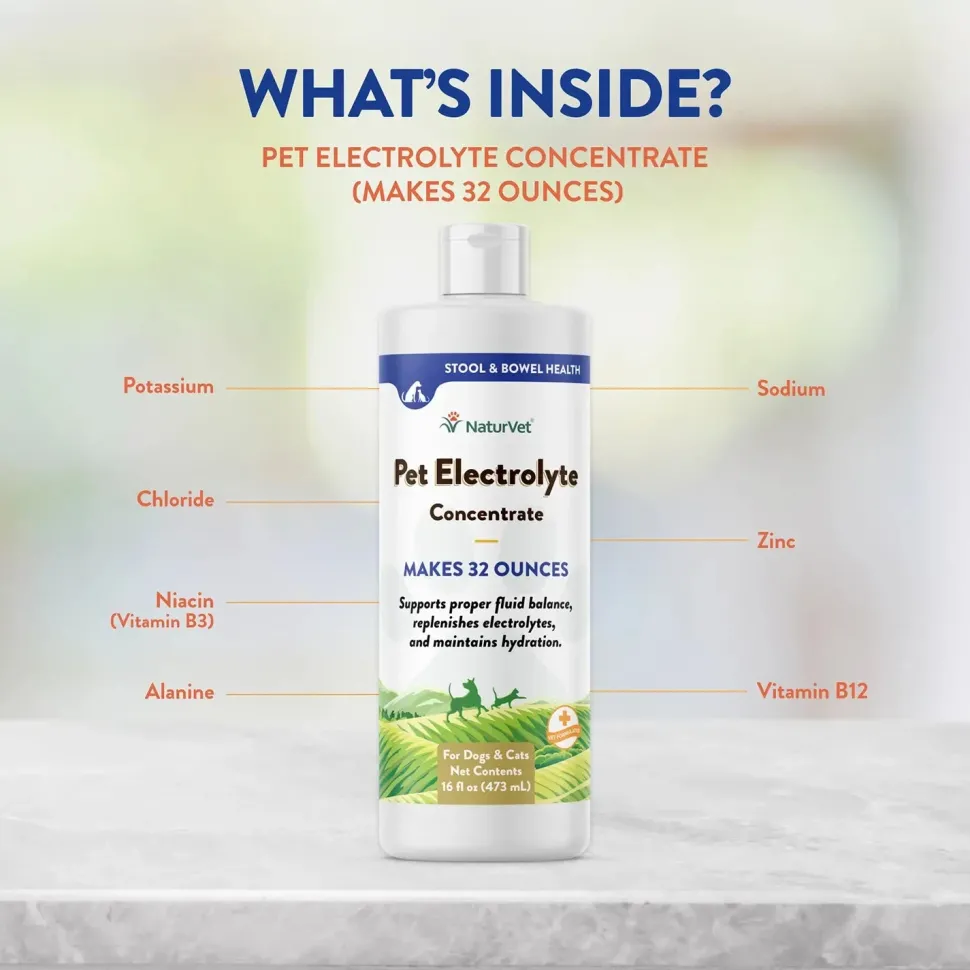 NaturVet Pet Electrolyte Concentrate for Dogs & Cats 16-oz