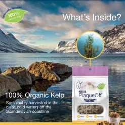 NaturVet ProDen PlaqueOff Scoopables Cat Dental Treats 45 Count 5.5-oz