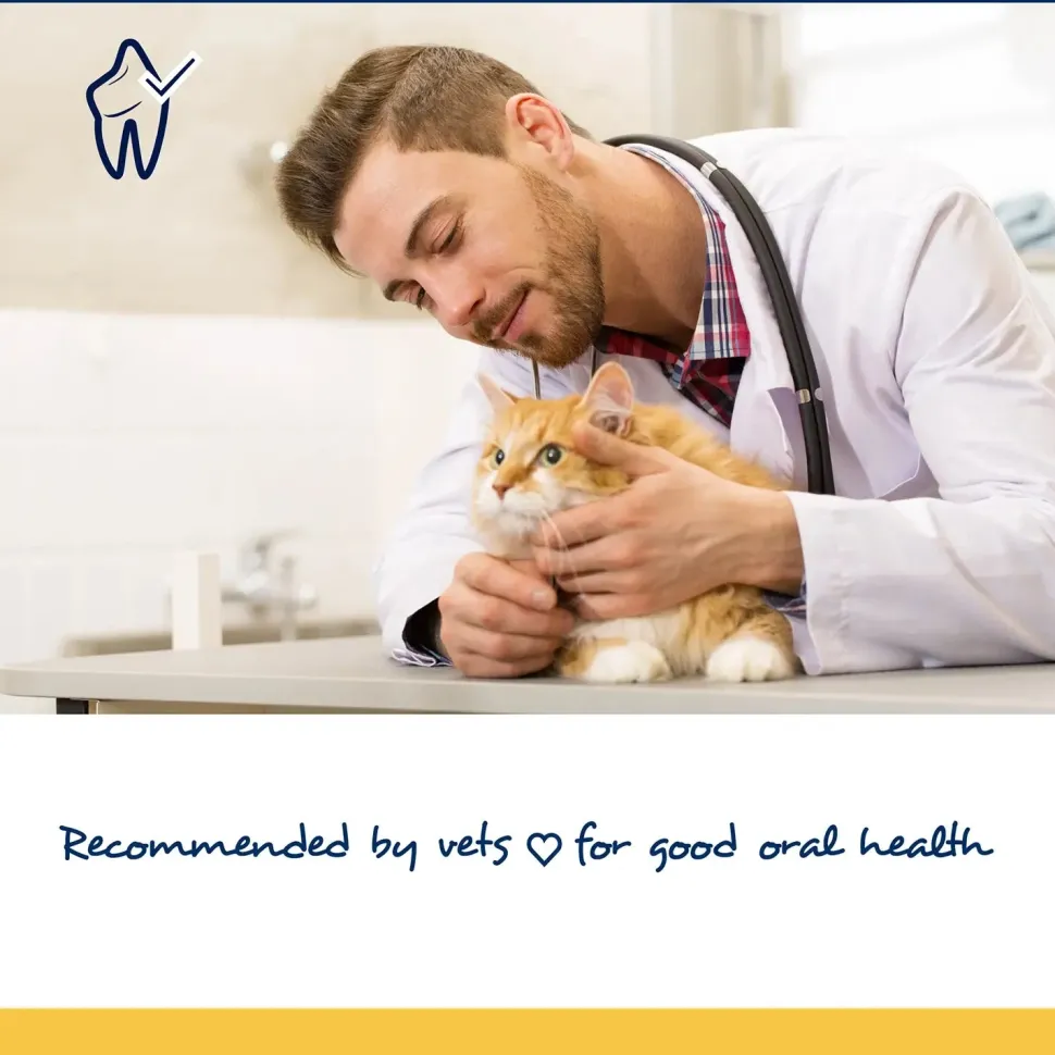 NaturVet Proden PlaqueOff Soft Chews for Cats 45 Count 3.9-oz