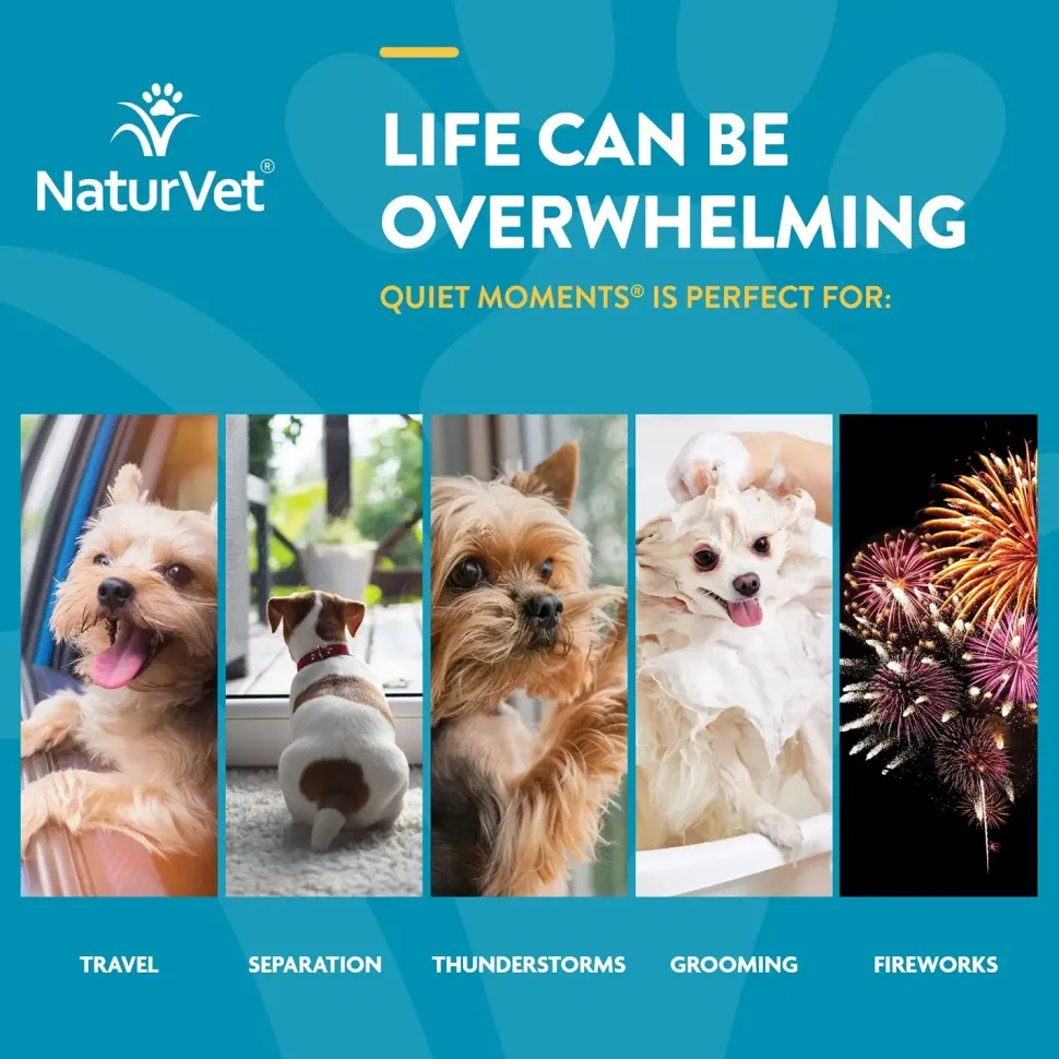 NaturVet Quiet Moments Calming Aid Plus Melatonin Soft Chews for Dogs 70 Count 5.4-oz