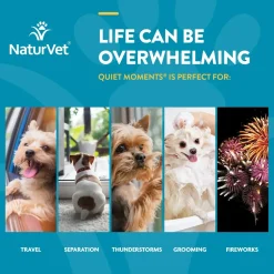 NaturVet Quiet Moments Time Release Tasty Chewable Tablets for Dogs 30 Count 3.1-oz
