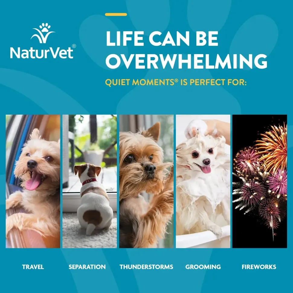 NaturVet Quiet Moments Time Release Tasty Chewable Tablets for Dogs 30 Count 3.1-oz