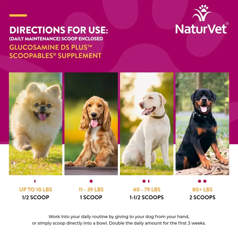 NaturVet Scoopables Glucosamine DS Plus Level 2 Moderate Joint Care Supplement for Dogs 45 Count 11-oz