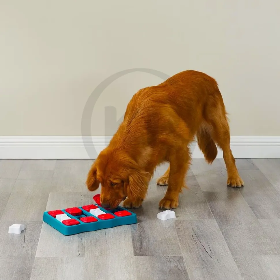 Nina Ottosson Brick Interactive Dog Toy Blue Large